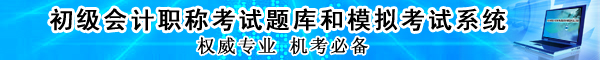 初级会计职称题库和模拟考试系统