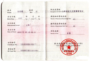 企业人力资源管理师